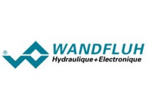 Wandfluh DSV (Цифровой интеллектуальный клапан) Nabtesco